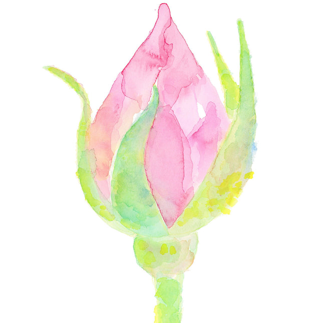 Love of Bud