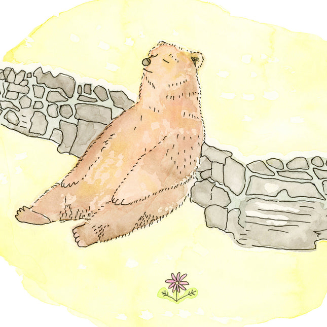 Basking In The Sun