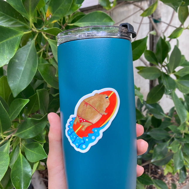 Surfing Desert Rain Frog Sticker