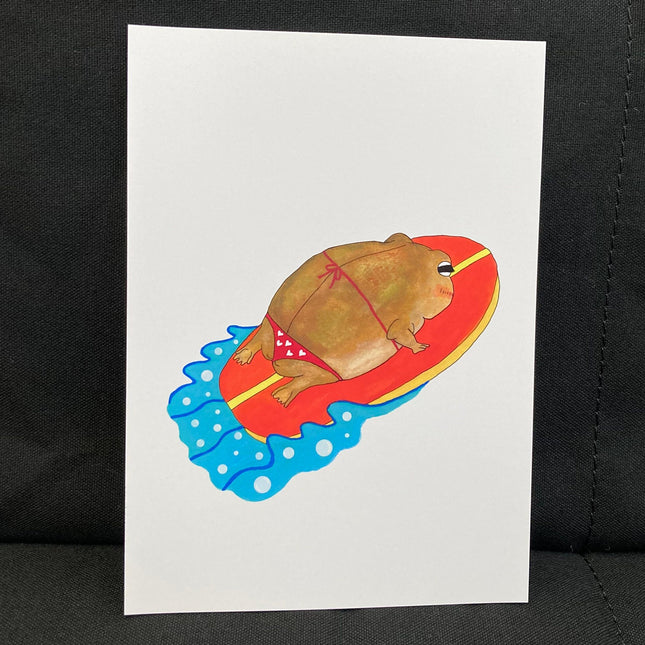 Surfing Desert Rain Frog